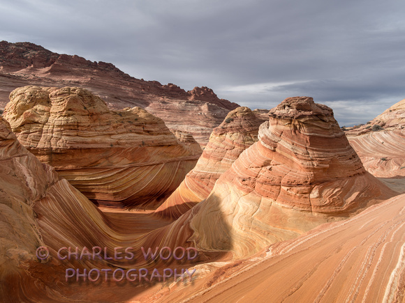 THE WAVE, COYOTE BUTTES NORTH