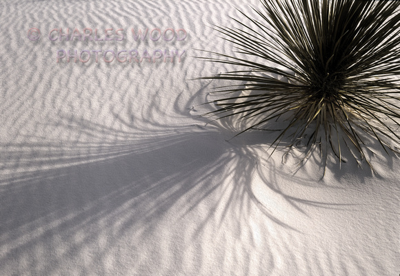 WHITE SANDS NATIONAL MONUMENT, NEW MEXICO