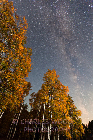 NIGHT SKY - DIXIE NATIONAL FOREST, UTAH