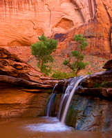 AMERICAN SOUTHWEST