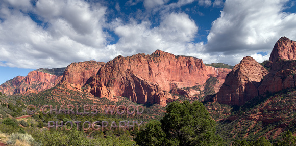 ZION NATIONAL PARK, UTAH