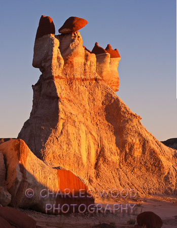 FALLEN SOLIDER - BLUE CANYON, ARIZONA