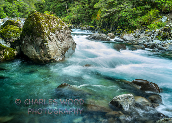HOLLYFORD RIVER, SOUTH ISLAND, NEW ZEALAND