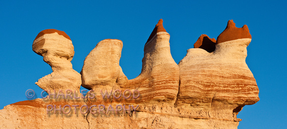 GOBLINS AT ATTENTION - BLUE CANYON, ARIZONA