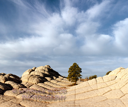 WHITE POCKET, VERMILION CLIFFS WILDERNESS, ARIZONA