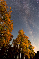 NIGHT SKY - DIXIE NATIONAL FOREST, UTAH
